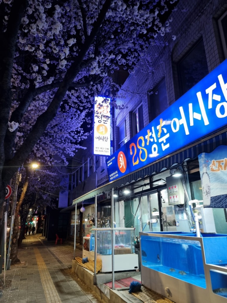 28청춘어시장 이미지