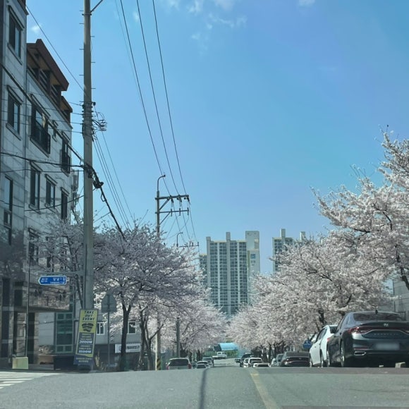 이디야커피 울산청량점 이미지