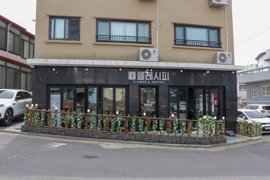 플레시피 이미지