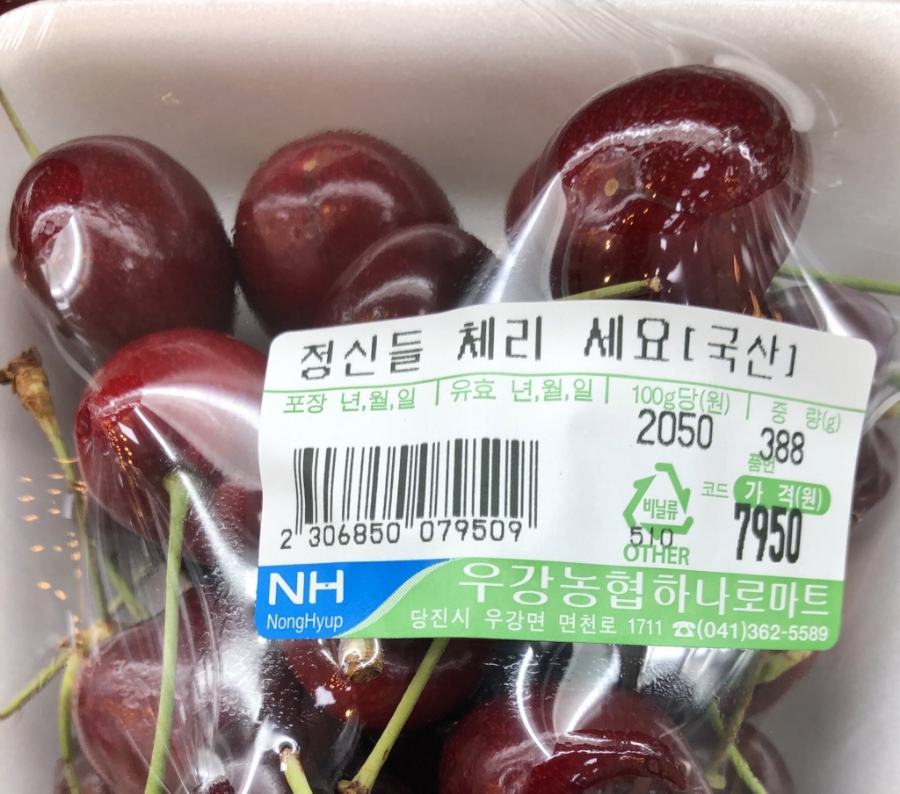 와이앤에너지 이미지