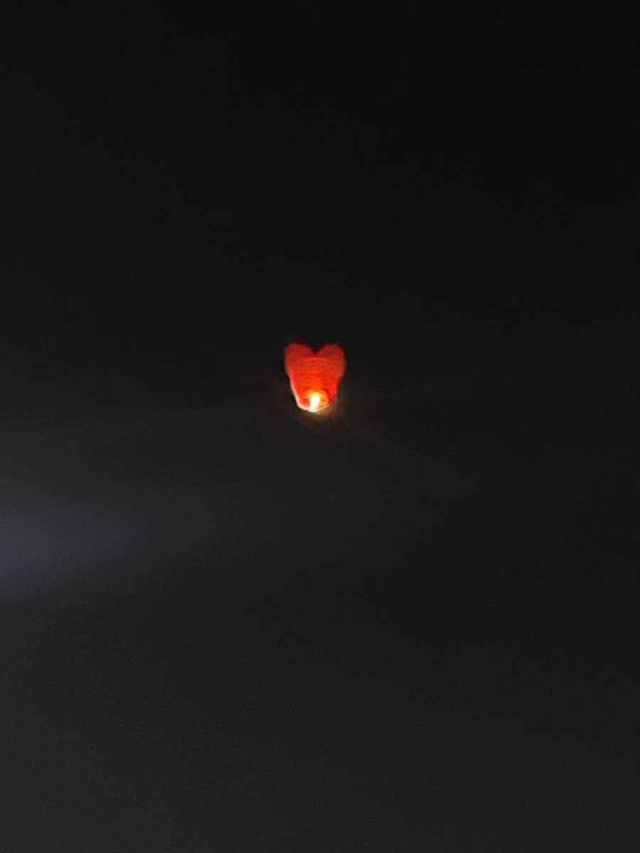 오뎅요코센 이미지