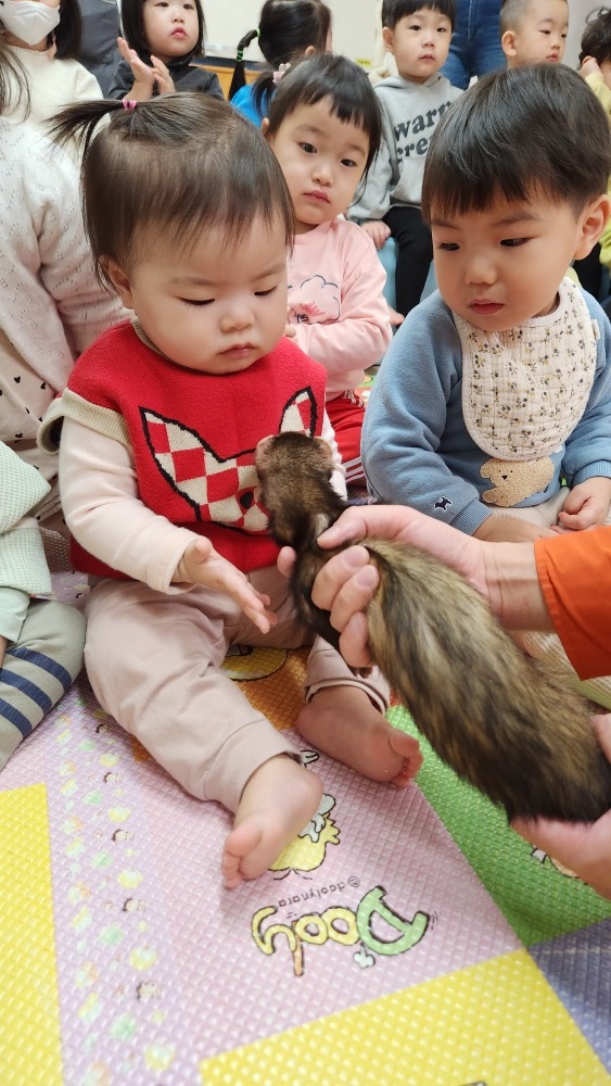 예꿈어린이집 이미지