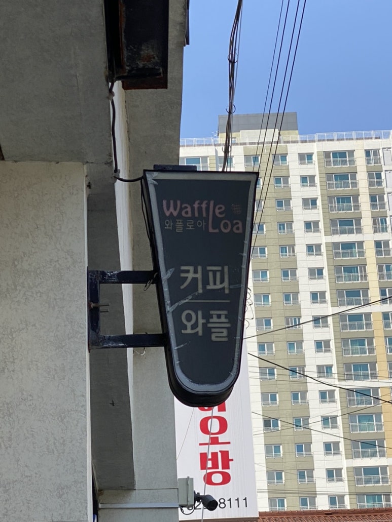 와플로아(Waffle loa) 이미지