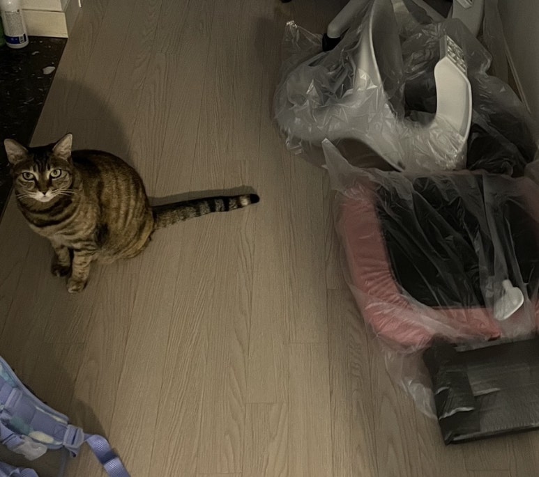 아토조명설치 이미지