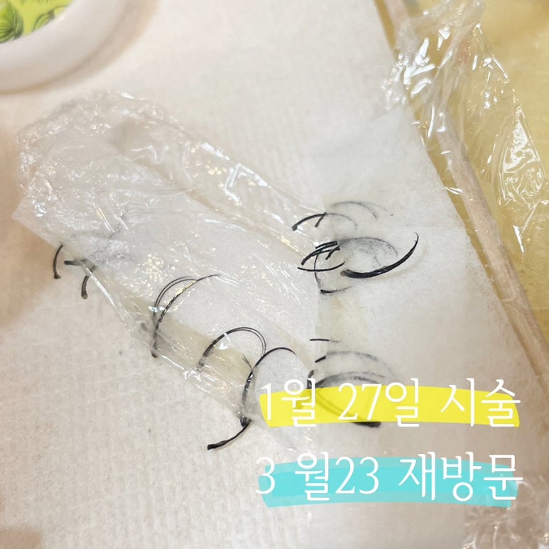 네일쉴꽃 이미지