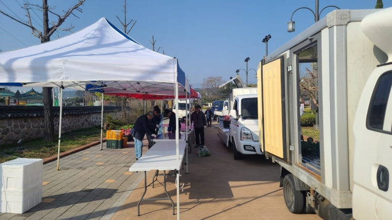 대관령농산물판매 이미지