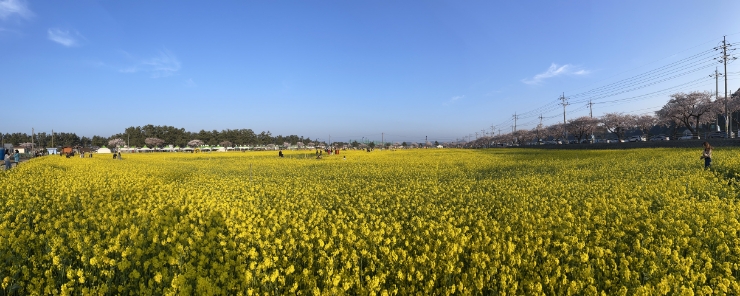 상맹방1리 이미지