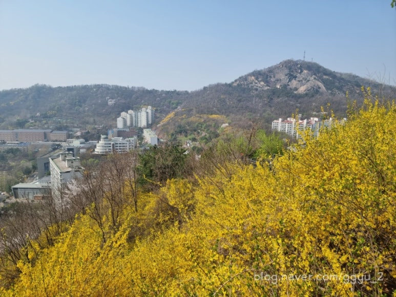 191카페 이미지