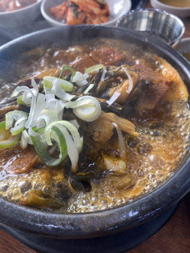 멋쟁이사 이미지