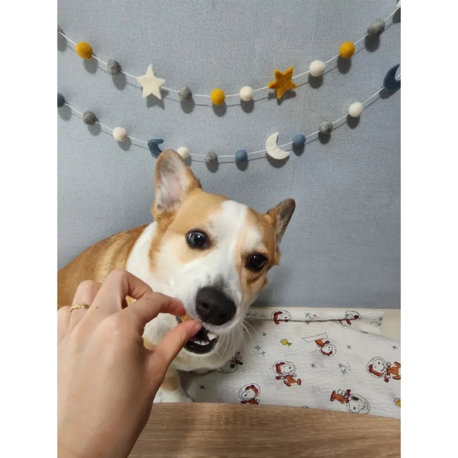 포베스트 이미지
