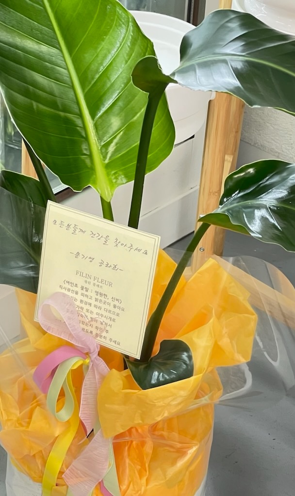 리본마취통증의학과의원 이미지