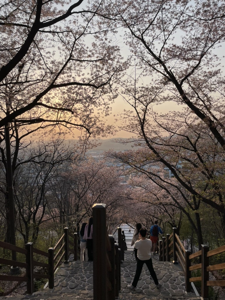 침산공원 이미지