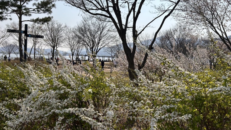 (주)햇빛나들이 이미지
