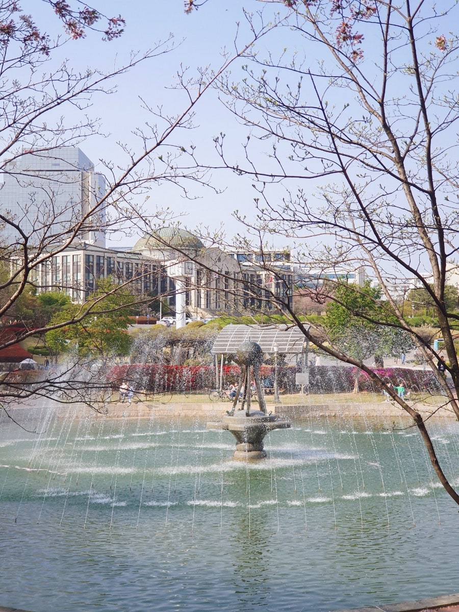 학교법인일청학원 이미지