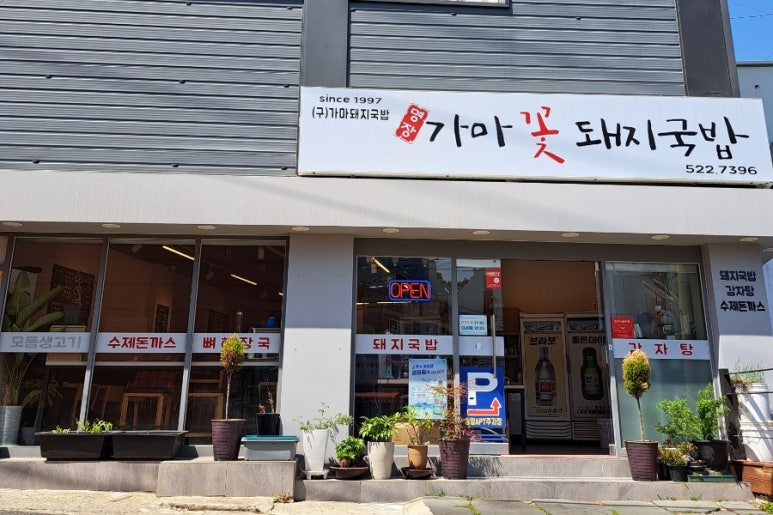 가마꽃돼지 이미지