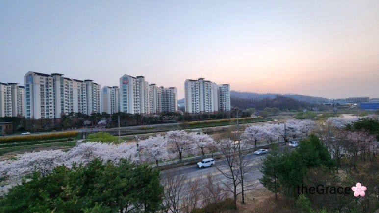 다이소전주하가점 이미지