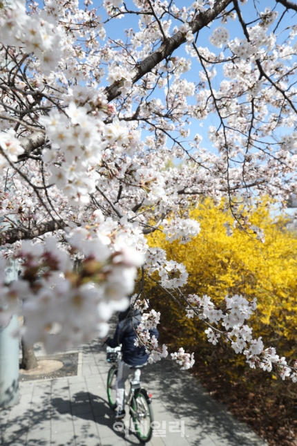 산성텔레콤 이미지
