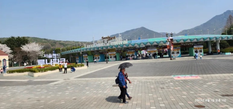 코끼리냉면 이미지