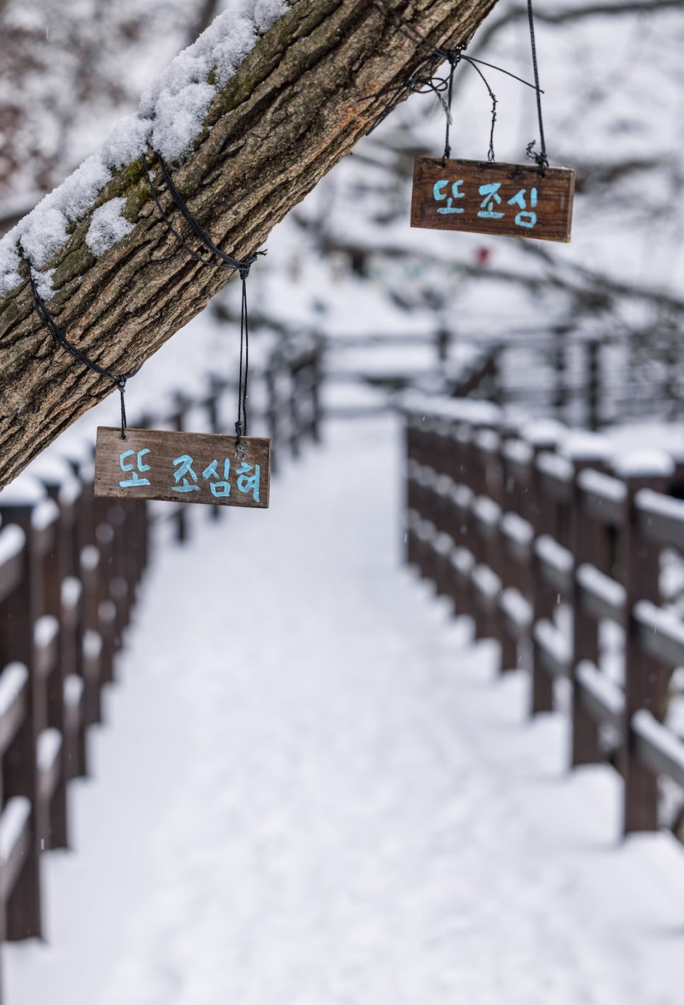 윤선생영어교실 이미지