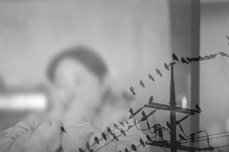 까마귀 필름 이미지