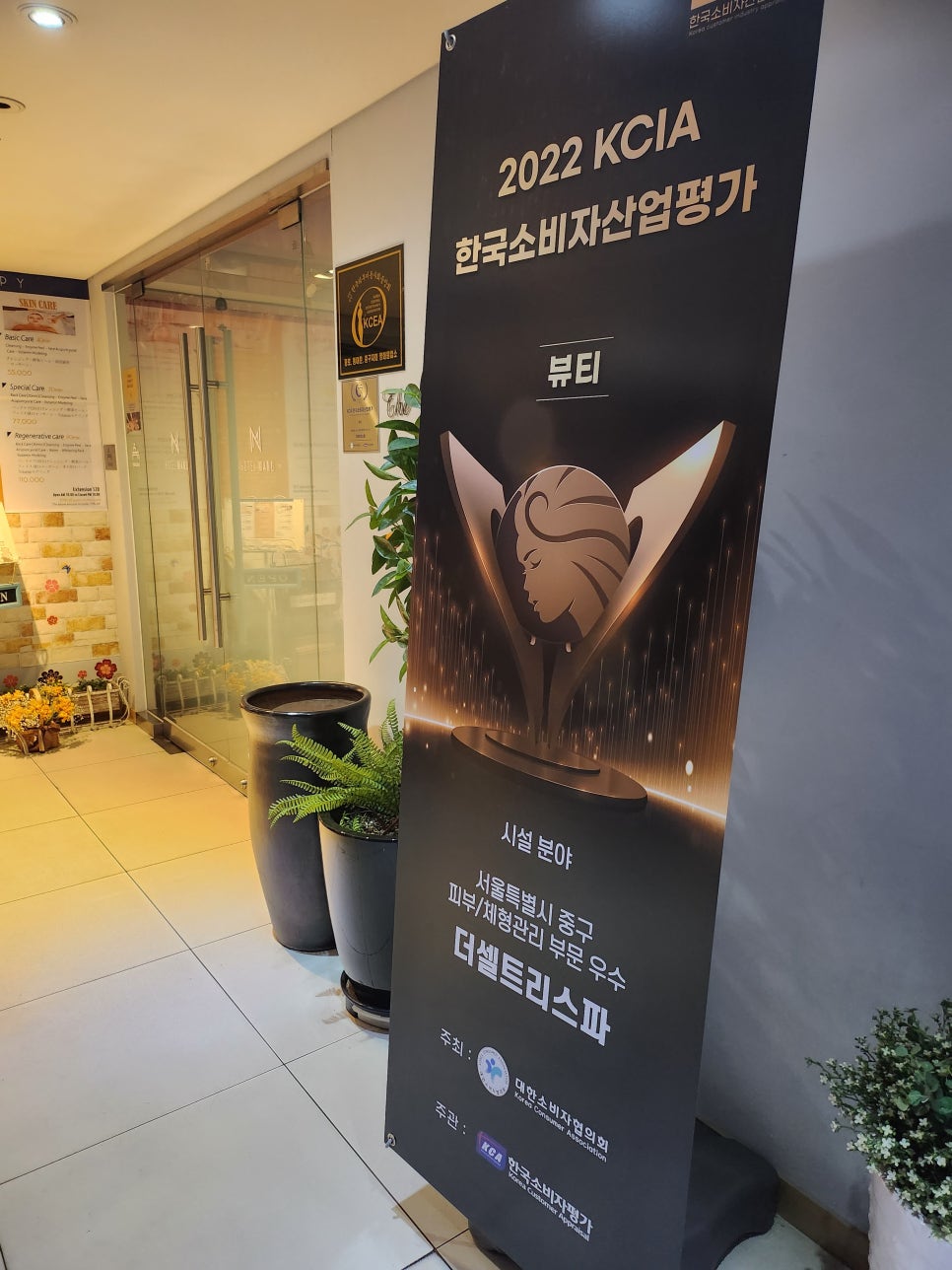 더셀트리스파 이미지