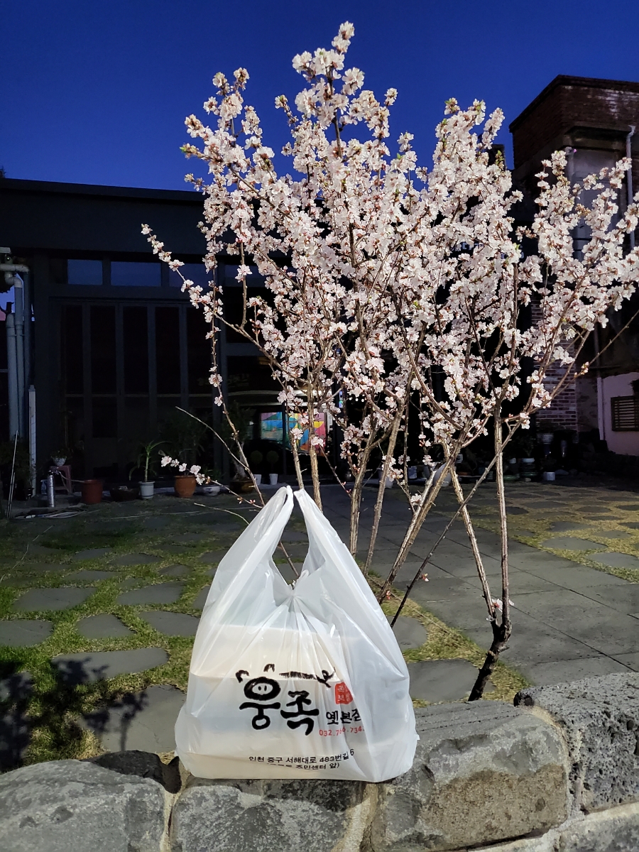 웅이네족발 이미지