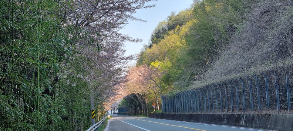 명석찜 이미지