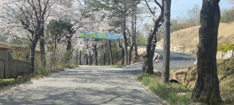 팜 스프링캠프 이미지