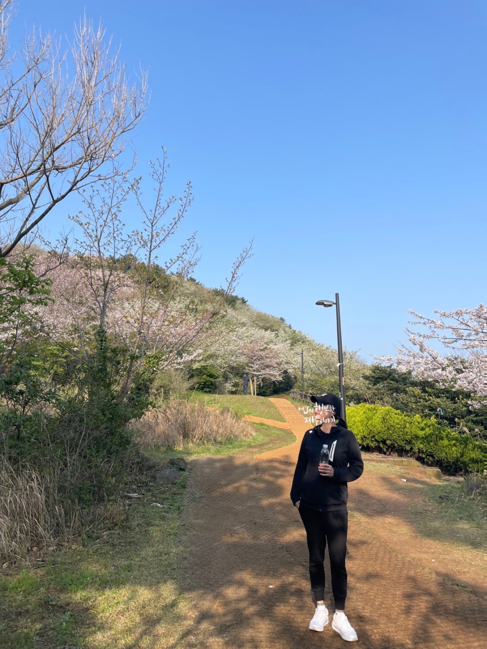 바다품은달 이미지
