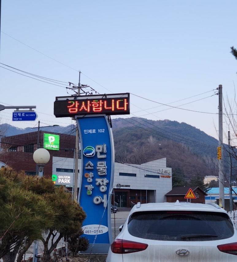 소양강민물장어 이미지