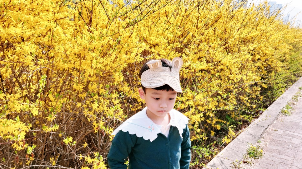 경수대로868번길 이미지