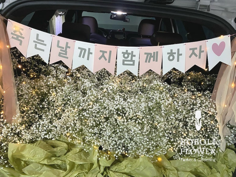 보볼리플라워 이미지