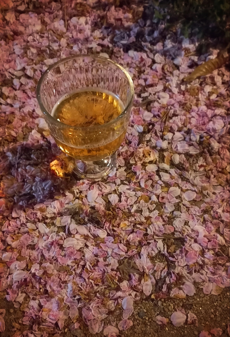 달빛아래 맥주한잔 이미지