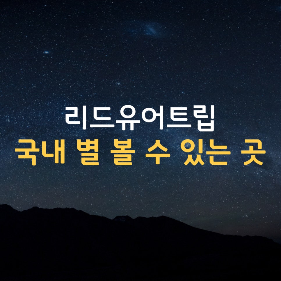 리드여행사 이미지