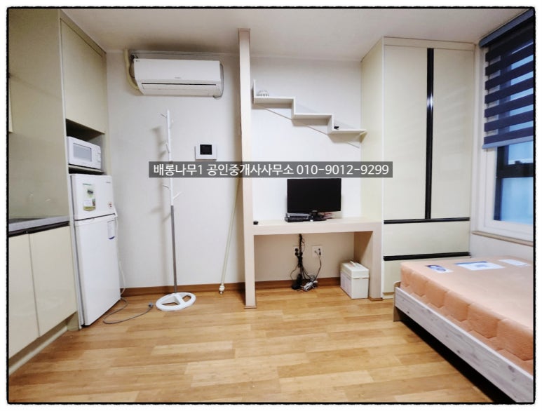 블루샵 이미지