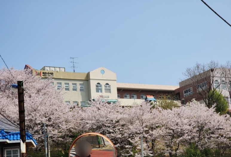 토고래디저트샵 이미지