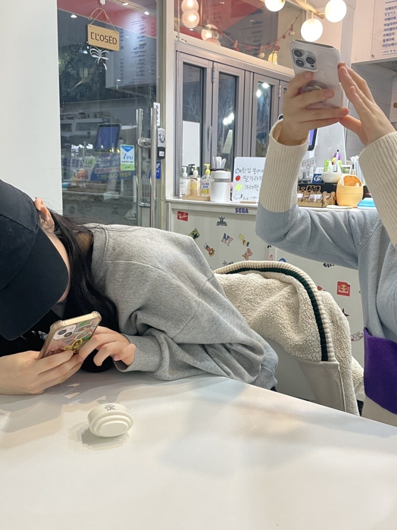 외대갈매기 이미지