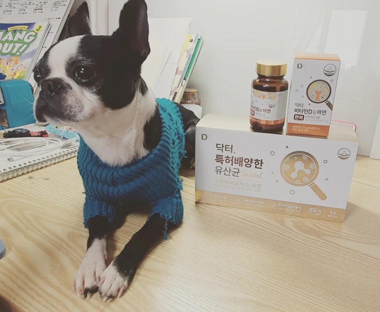 더반프로젝트 이미지