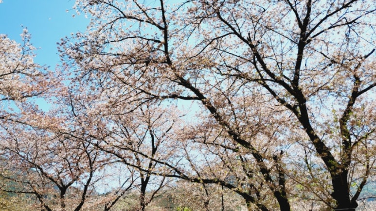 윤슬당 이미지