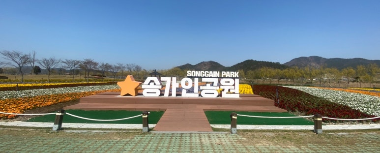 카페꽈배기어라 이미지