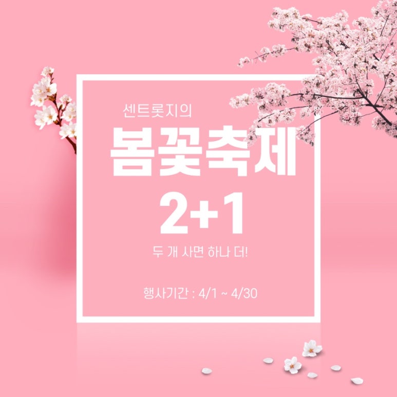 센트롯지 이미지