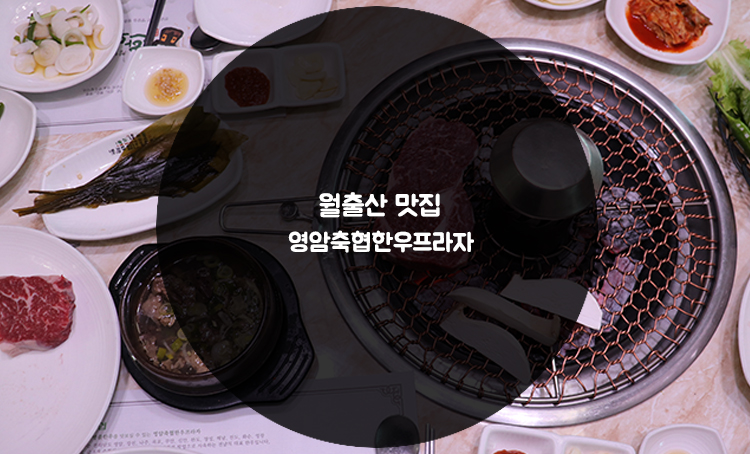 영암축협 한우프라자 이미지