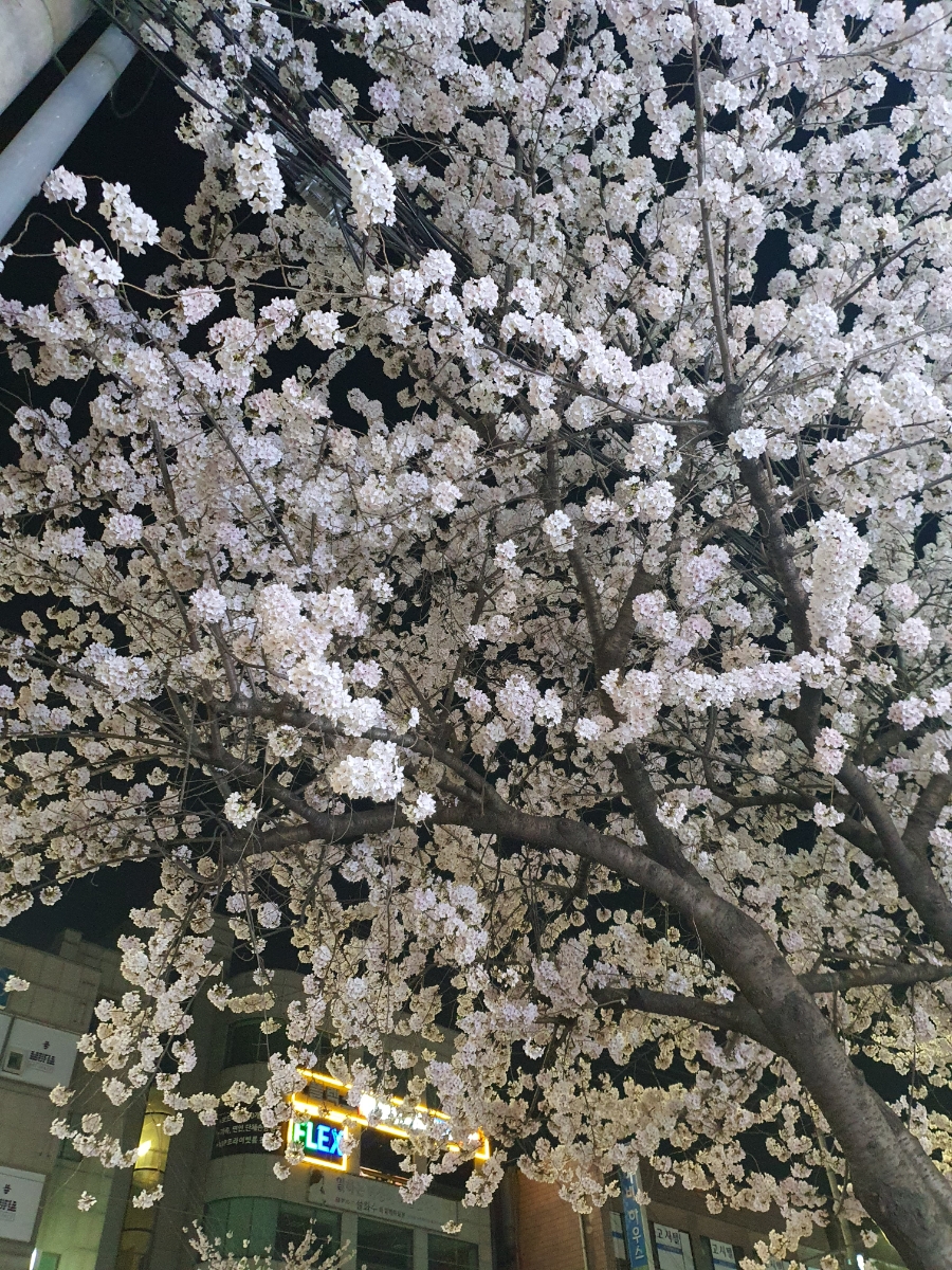담양갈비 이미지