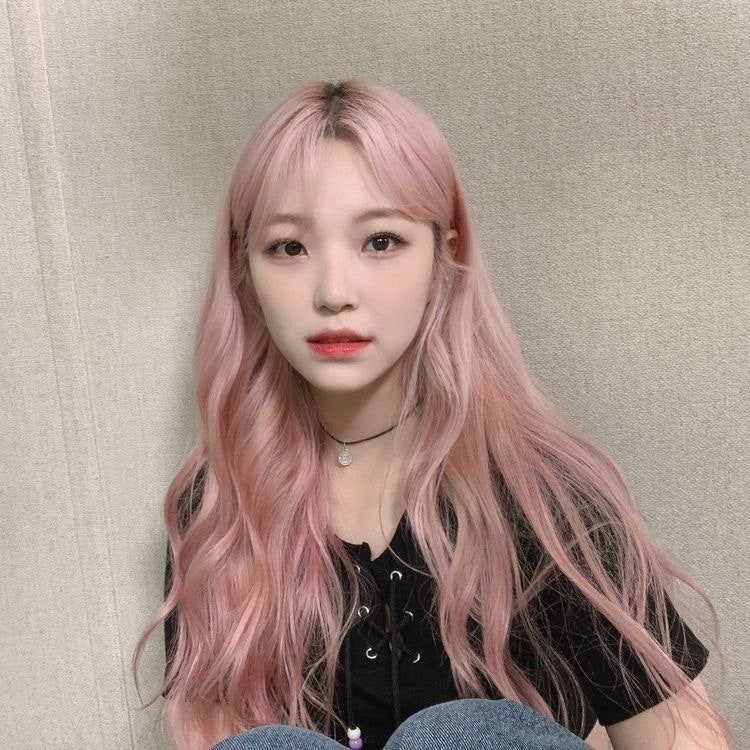 나농 이미지