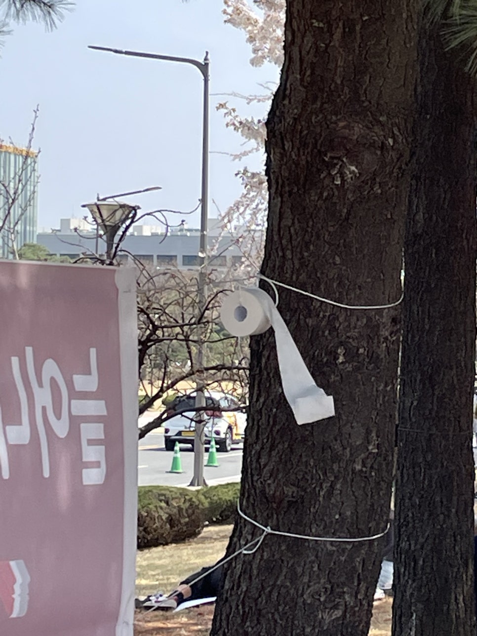 불마카세준 이미지