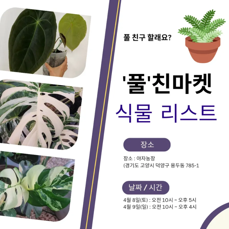 풀마켓 이미지