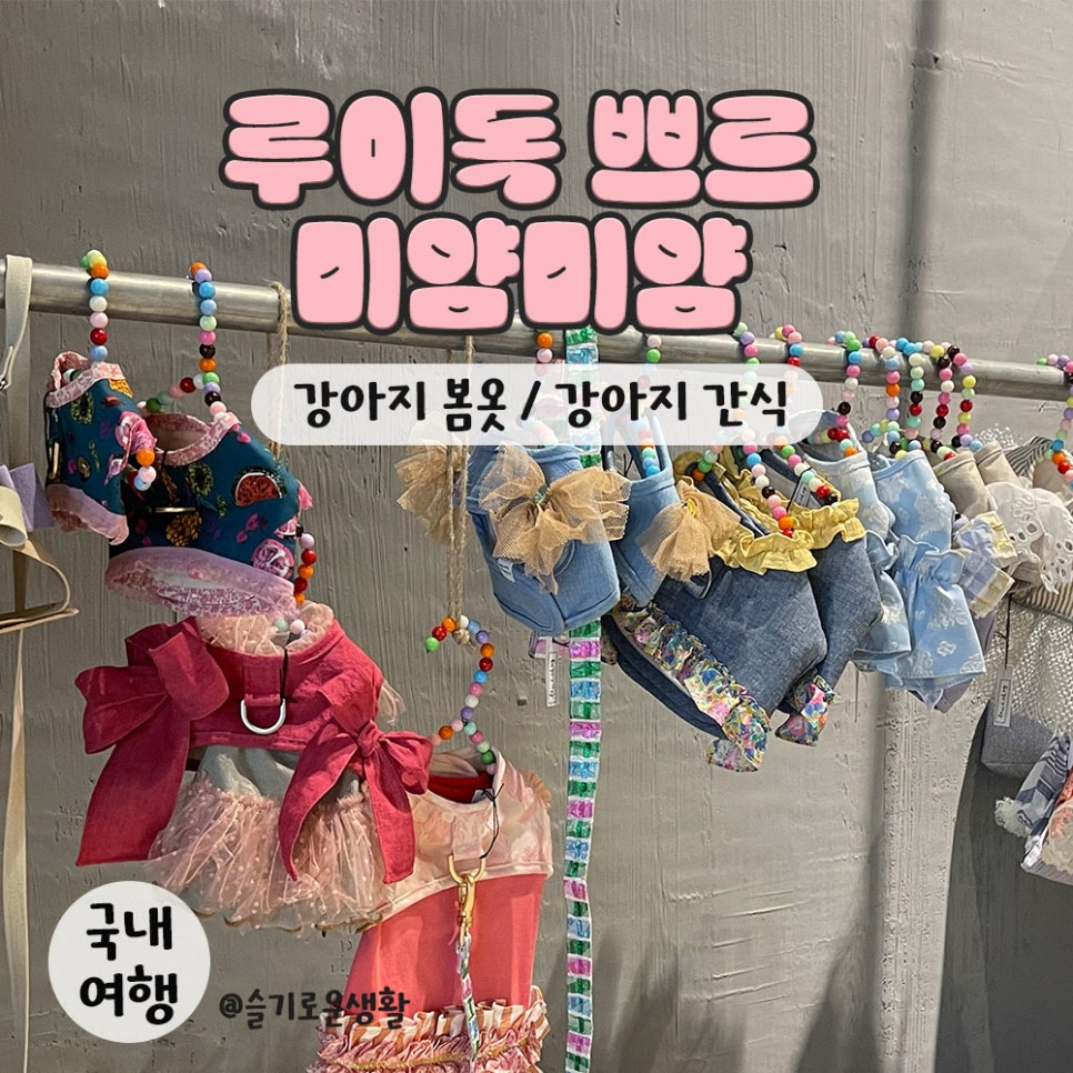 미얌미얌 이미지