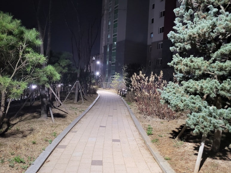 가자무인텔 이미지