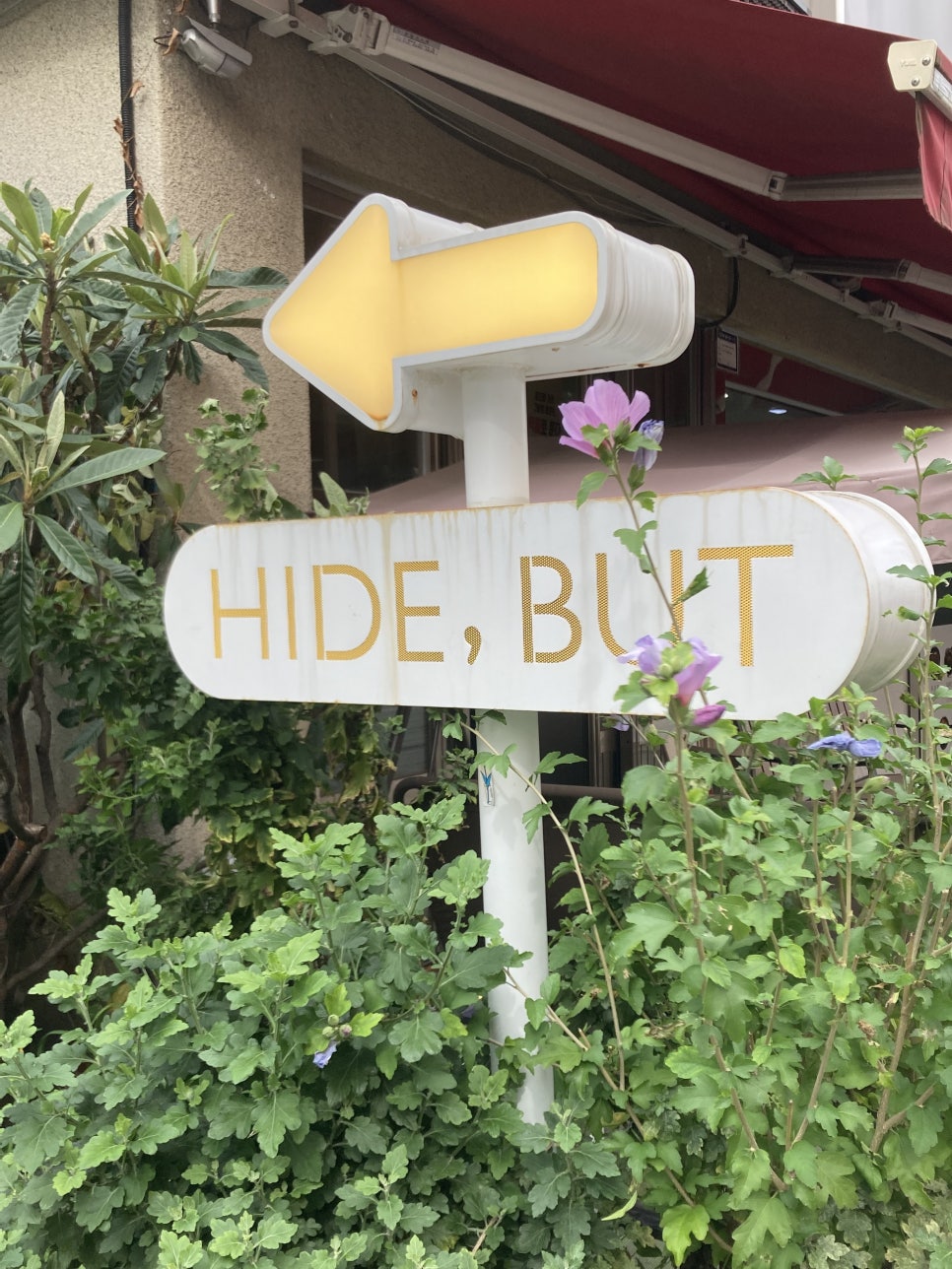 카페벗 이미지
