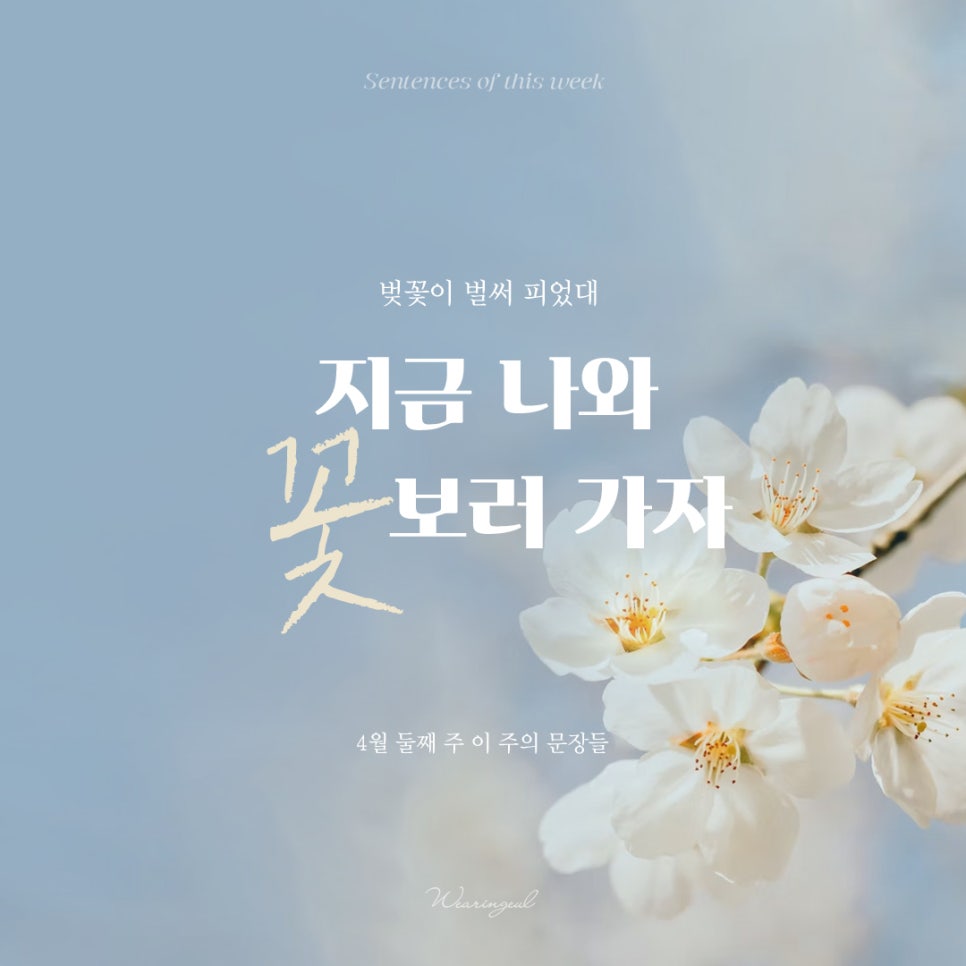 스타일입다별 이미지